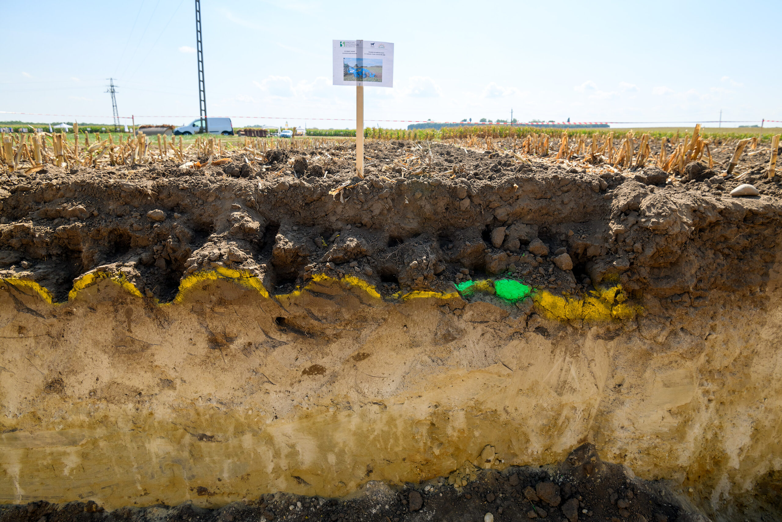 Rejtett szén: a műanyagok hatása a talajra