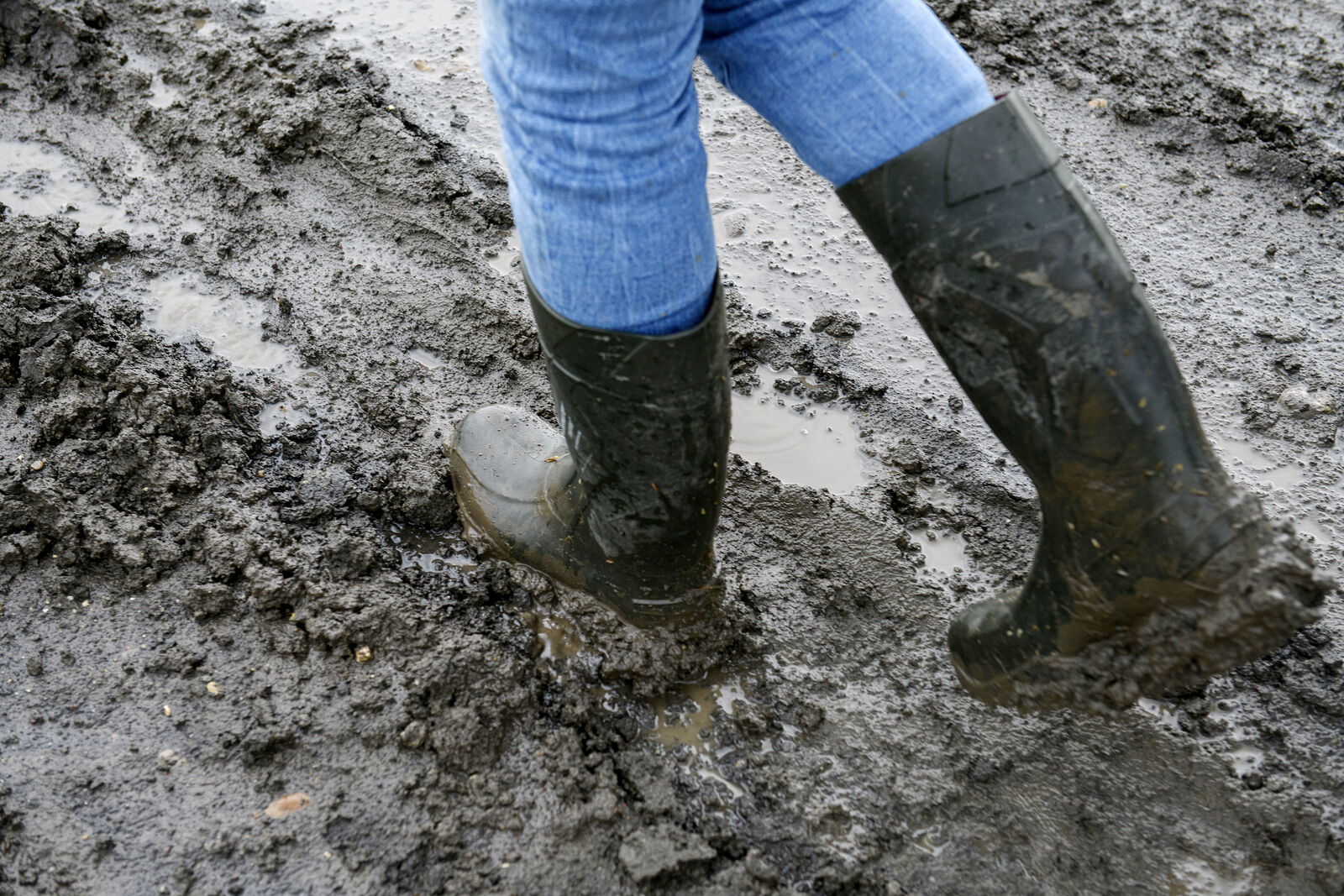 Gazdálkodói részvétel a vízmegtartást ösztönző támogatási programokban
