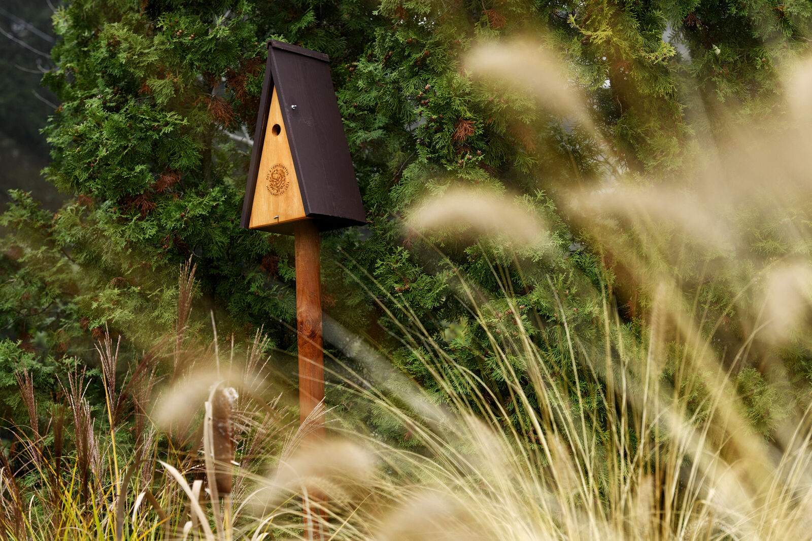 Csodát tesznek a konyhakertben egyes talajlakó gombák
