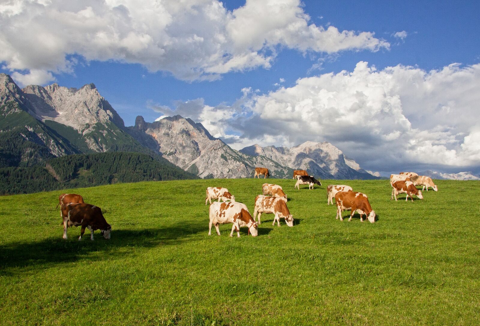 Ausztria ragaszkodik az erős uniós agrárpolitikához