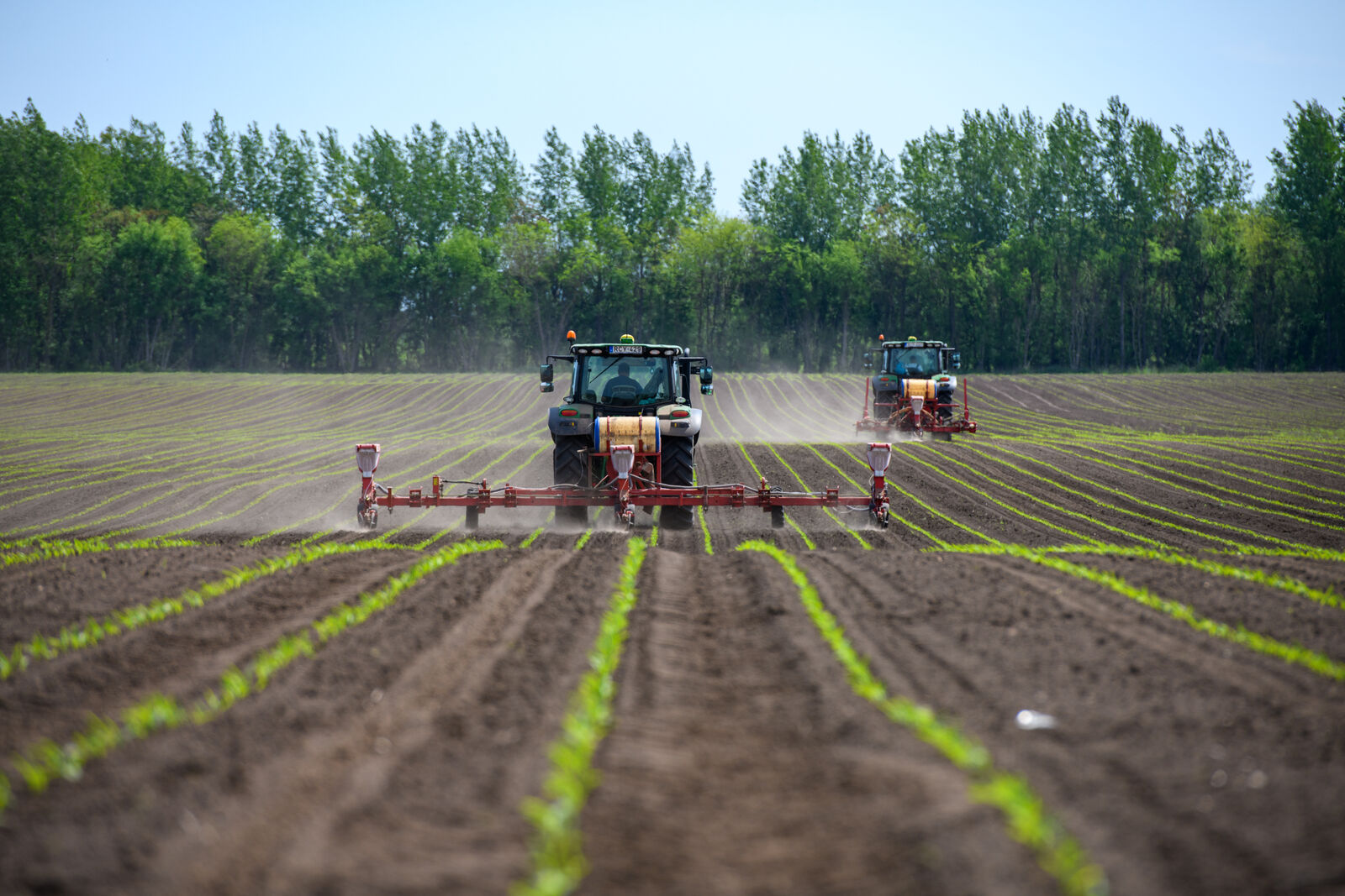 Vízgazdálkodási és termesztési stratégiák a délkelet-alföldi gyakorlatban