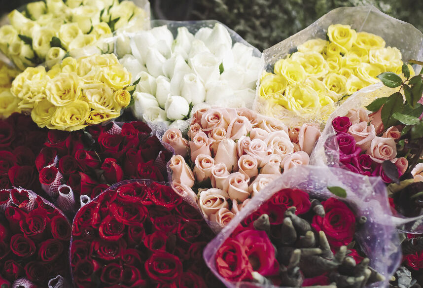 Kína rózsanagyhatalom lesz