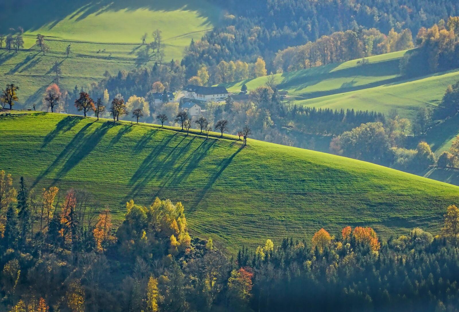 A fűféle-pillangós-egyéb lágyszárú szentháromság kímélheti a gazdák pénztárcáját
