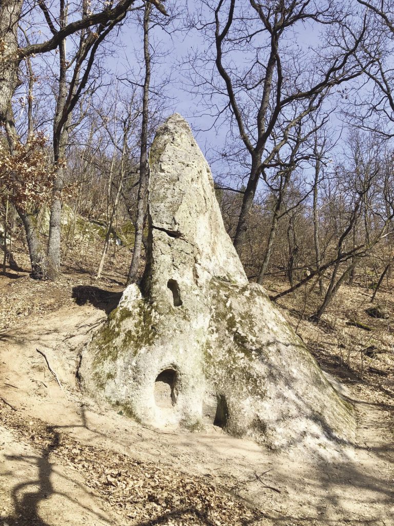 A méhészet művészete - A rejtélyes kaptárkövek - Magyar Mezőgazdaság