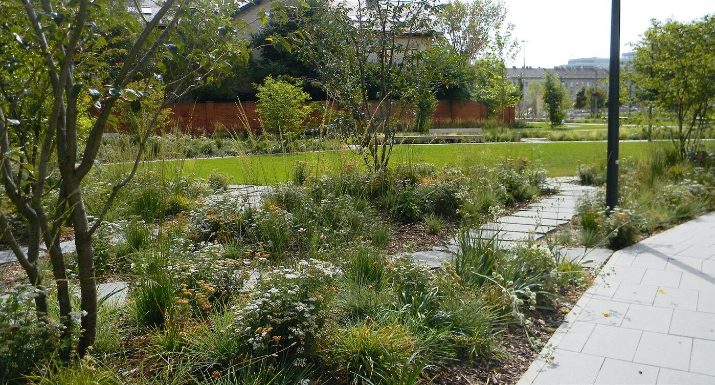 tájépítés vizafogó park év tájépítésze díj illusztráció