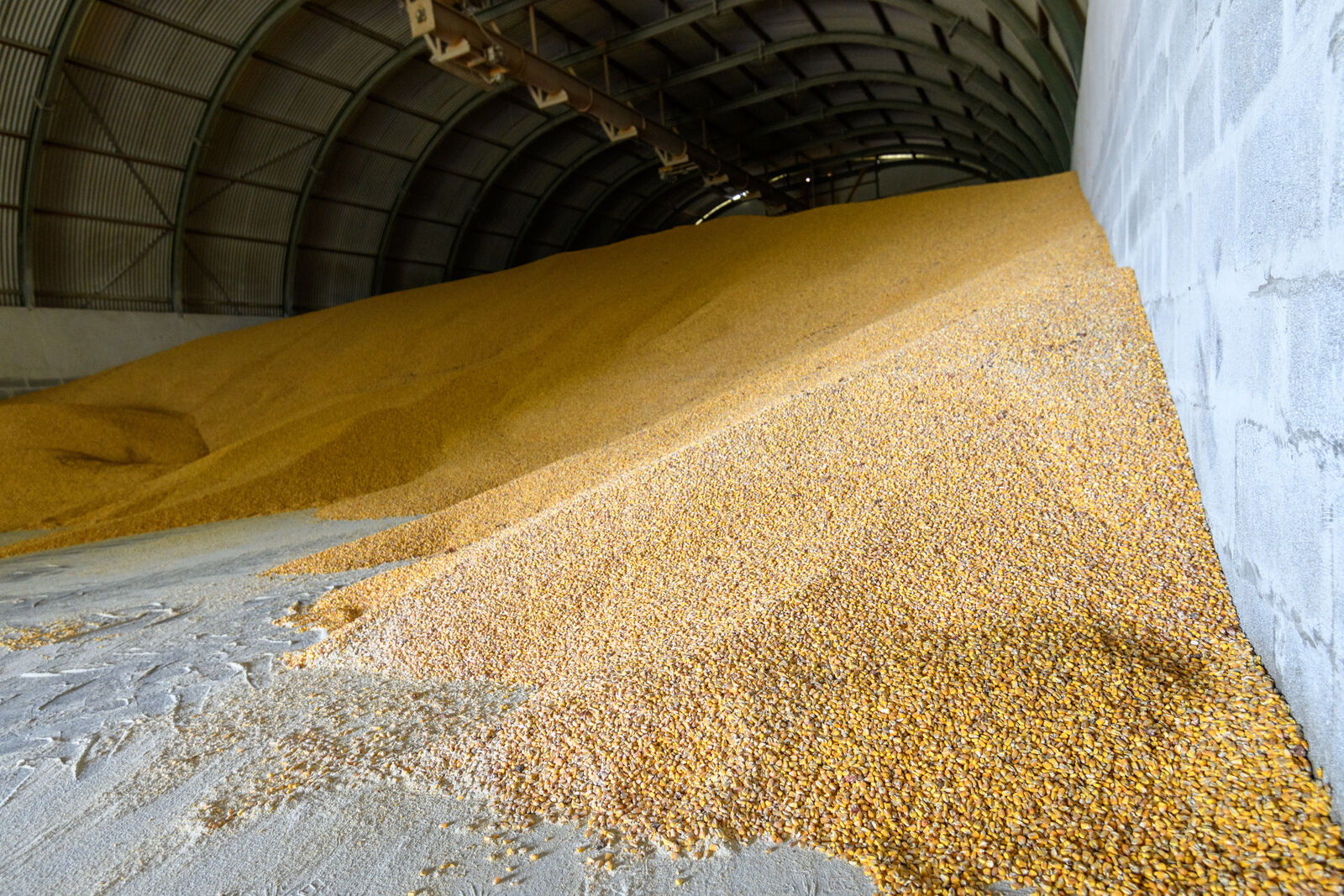 MOSZ: kritikus az agrárhelyzet, eljött az ideje a minimumárak bevezetésének