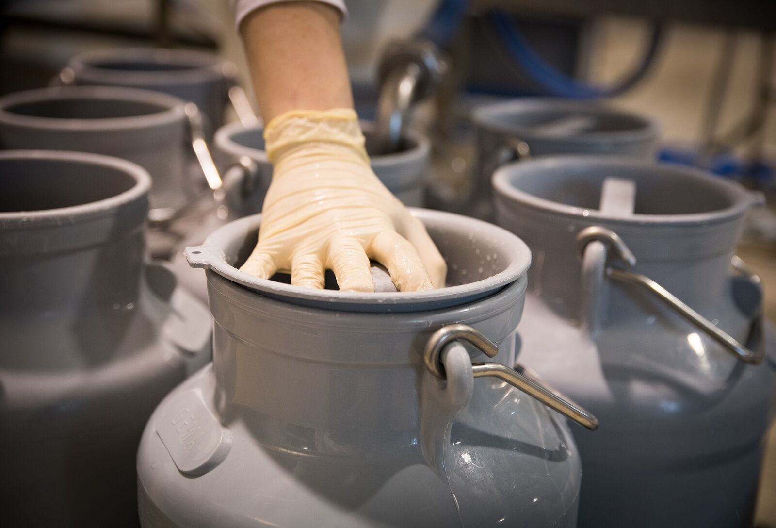 A tej ára csökken a készletek és a túlkínálat miatt Lengyelországban