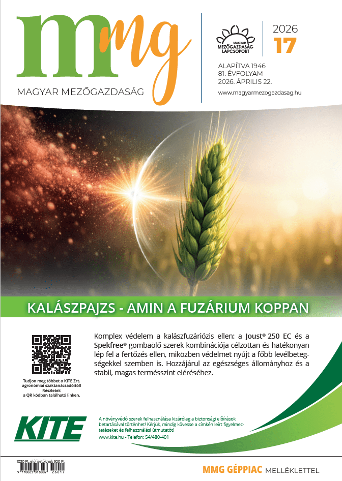 magazin kép