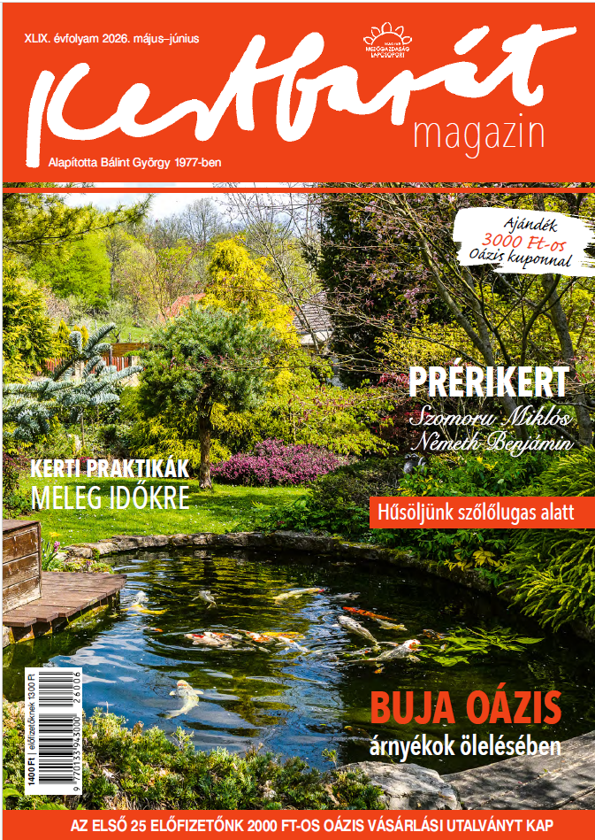 magazin kép