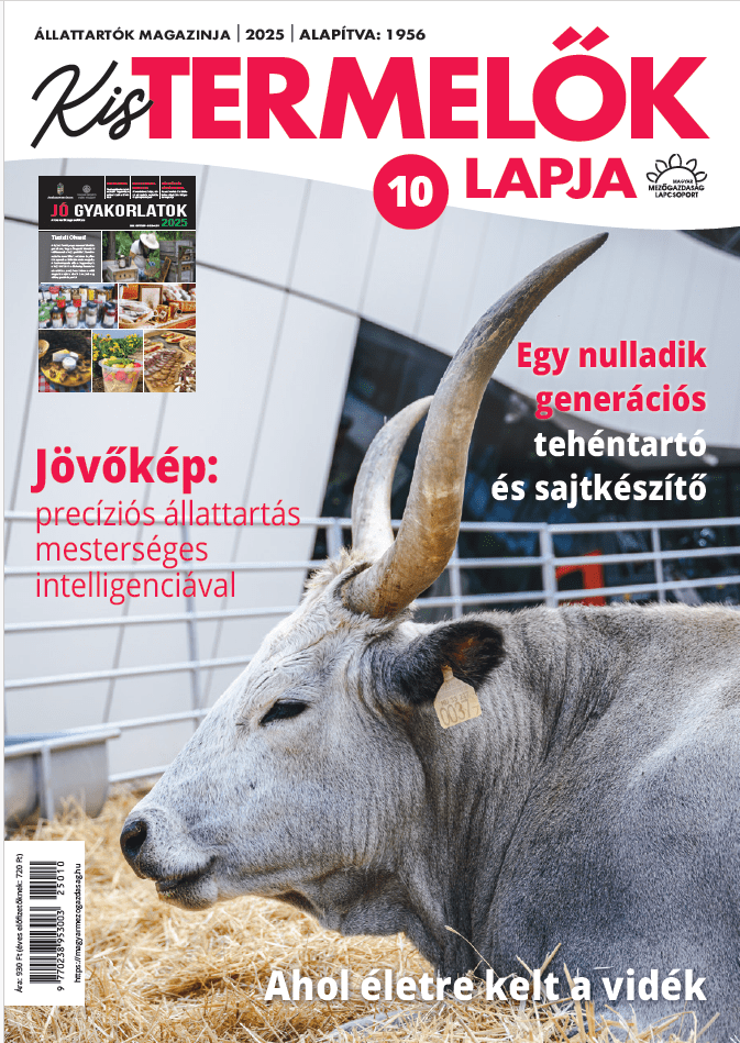 magazin kép