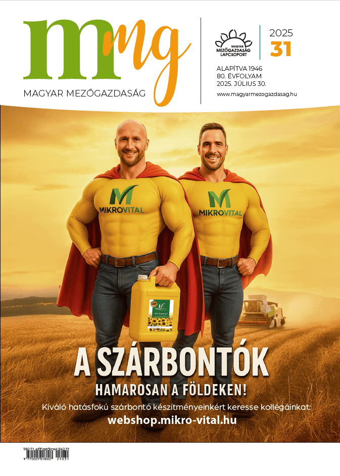 magazin kép