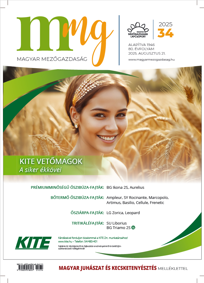 magazin kép
