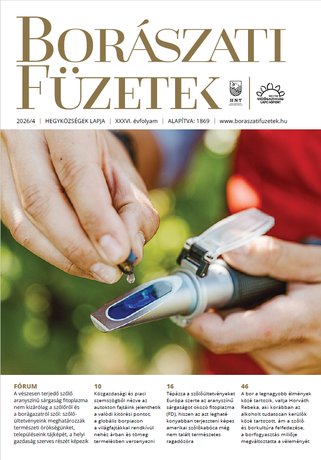 magazin kép