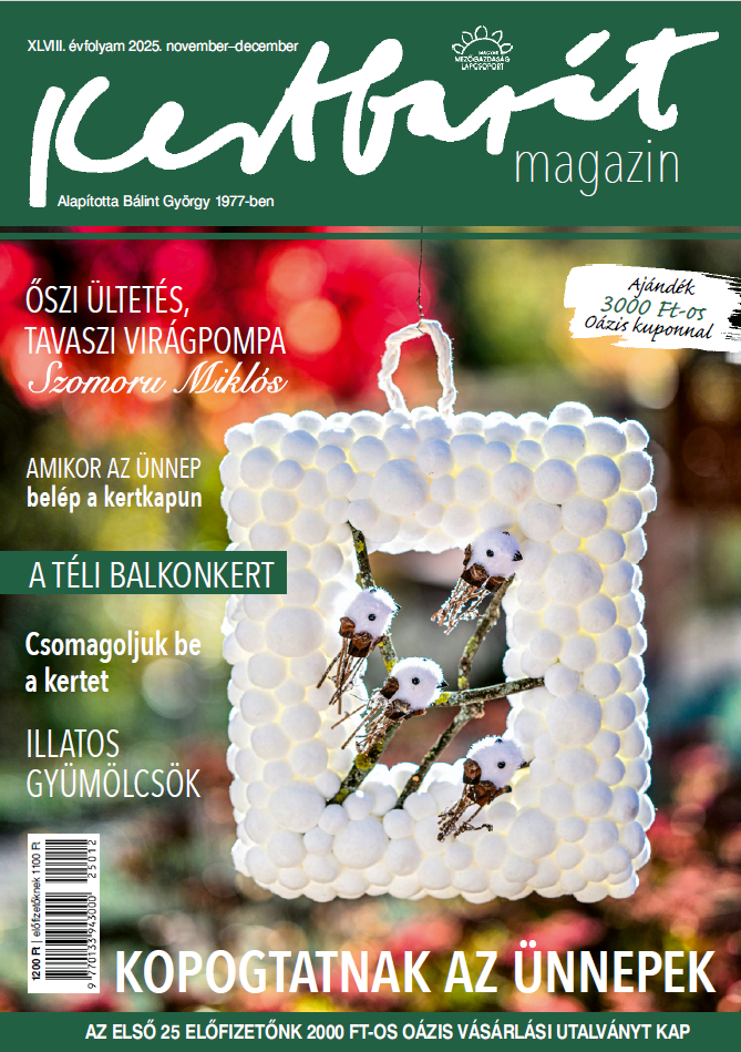magazin kép