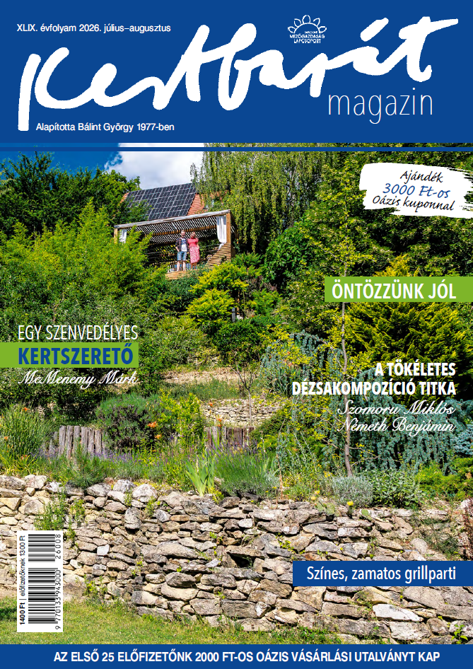 magazin kép