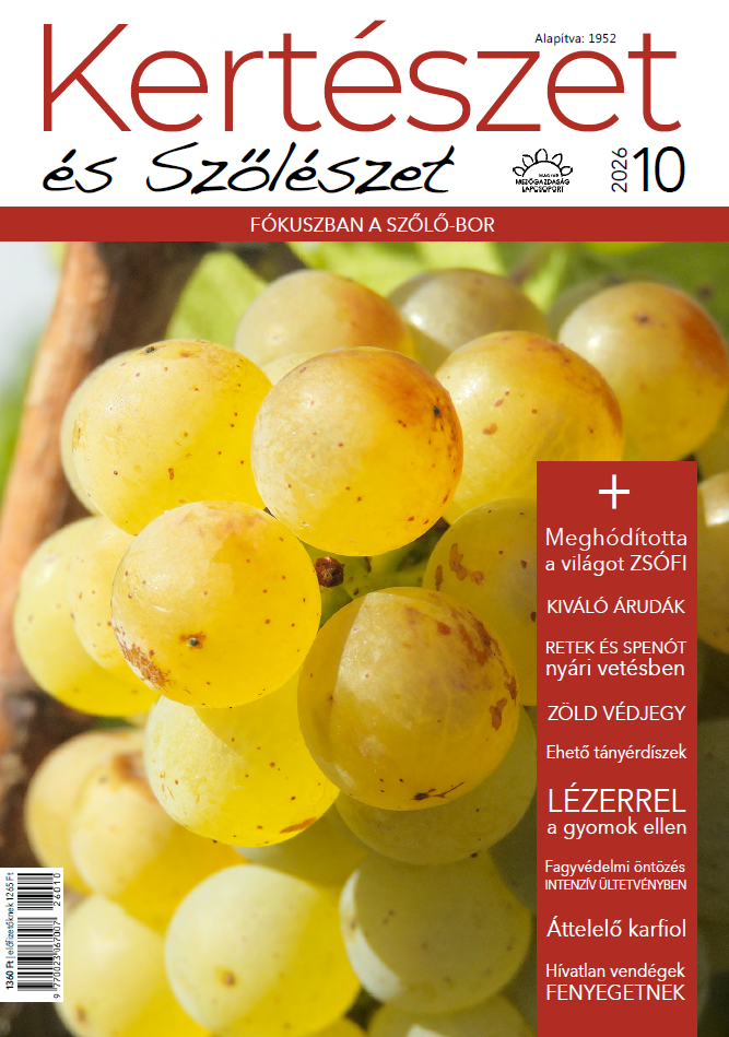magazin kép