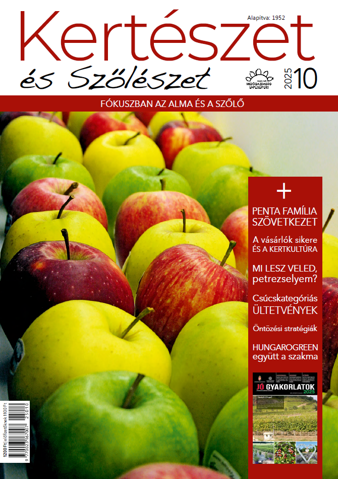 magazin kép