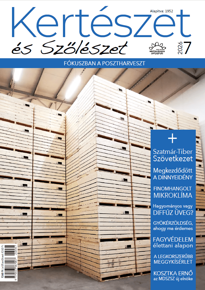 magazin kép