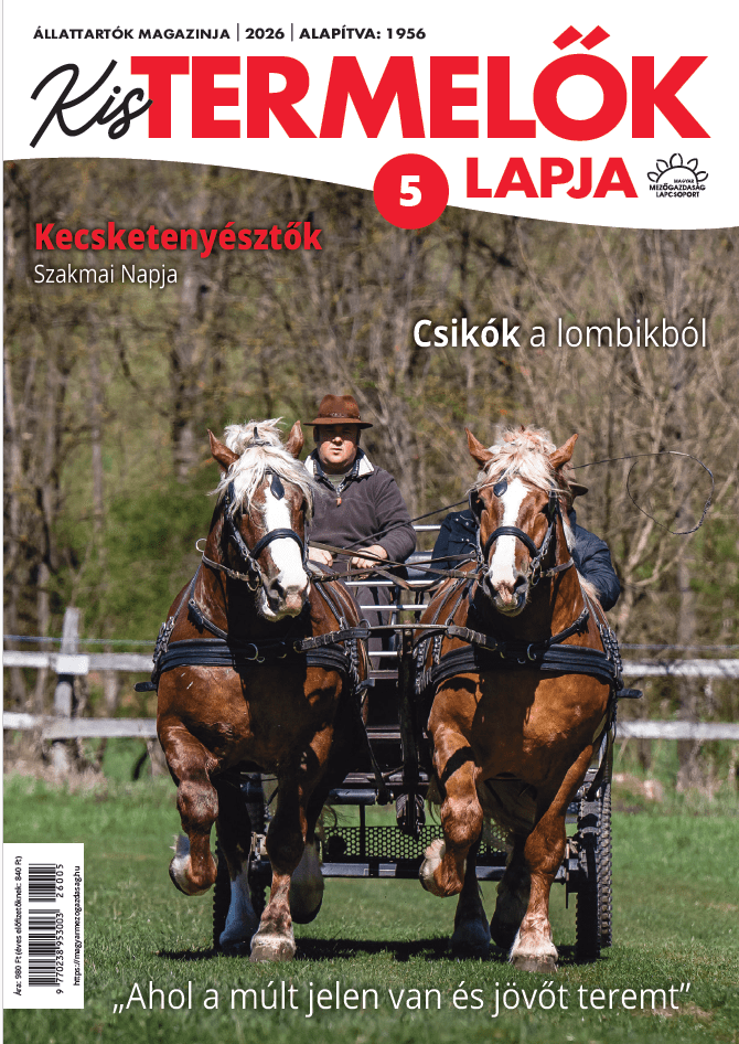 magazin kép