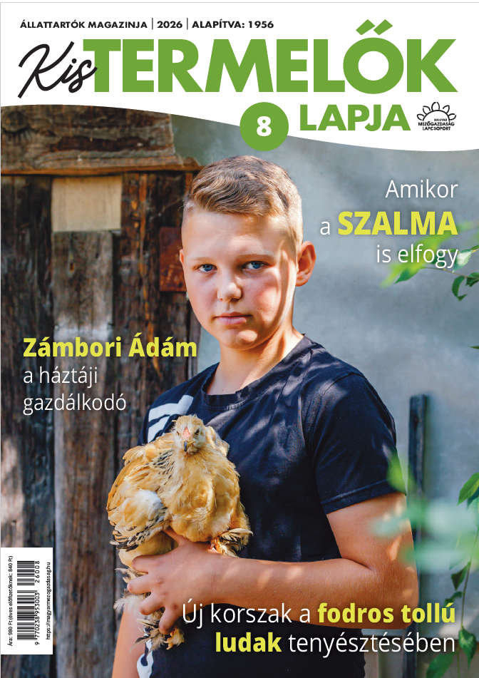 magazin kép