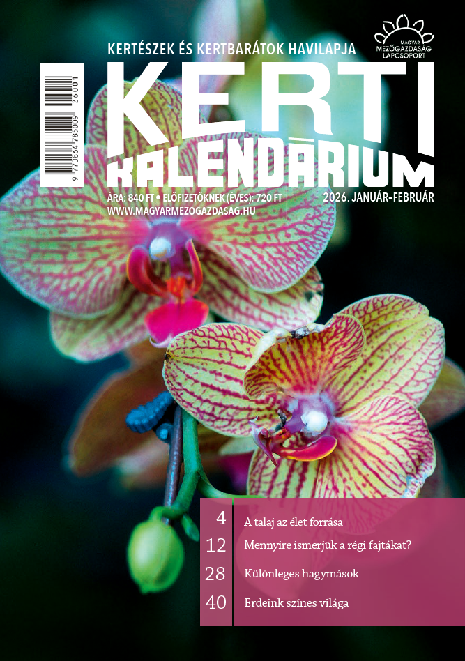 magazin kép