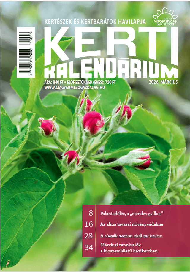 magazin kép