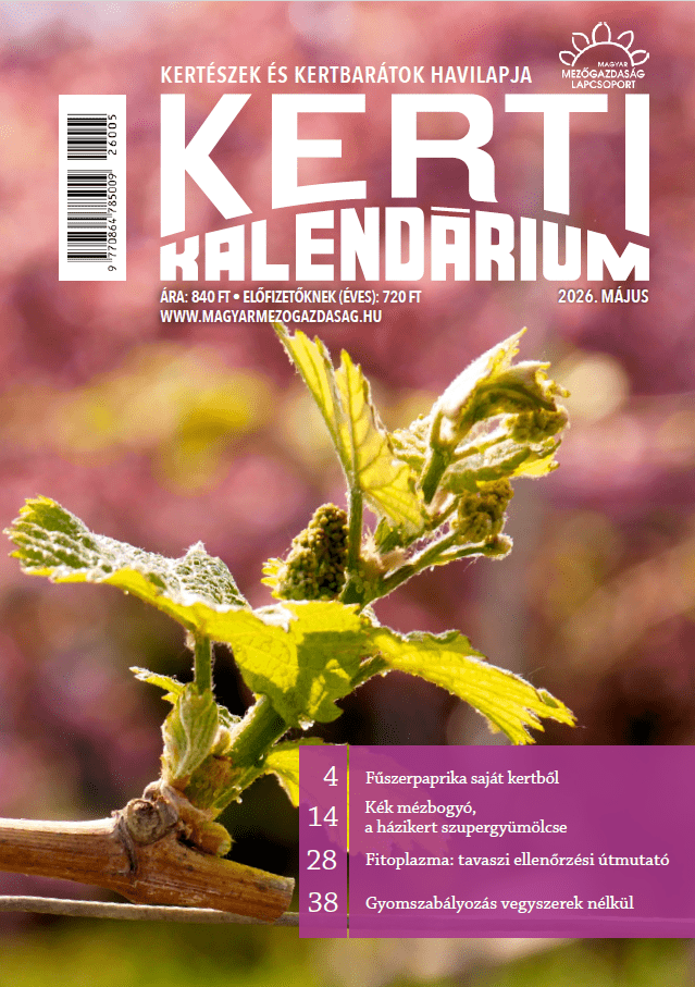 magazin kép