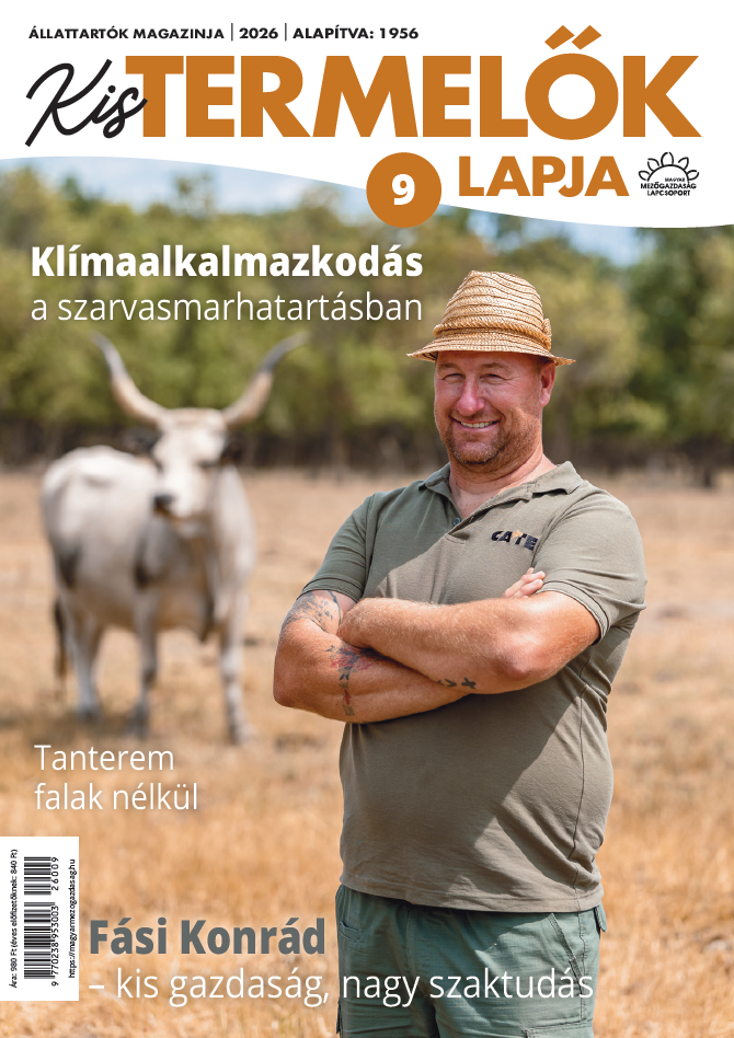 magazin kép