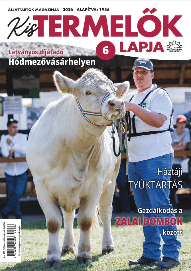 magazin kép