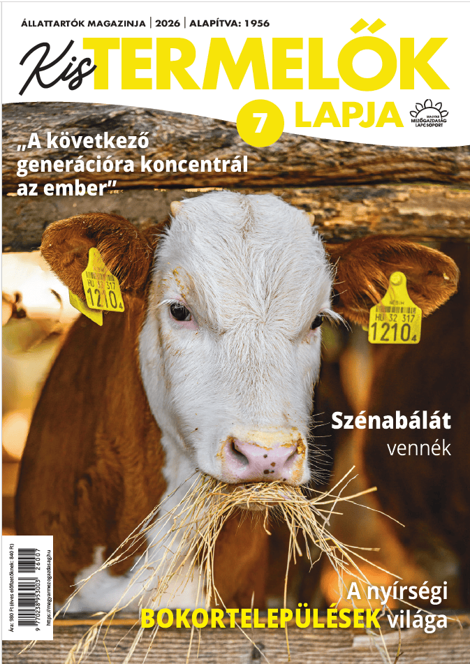 magazin kép