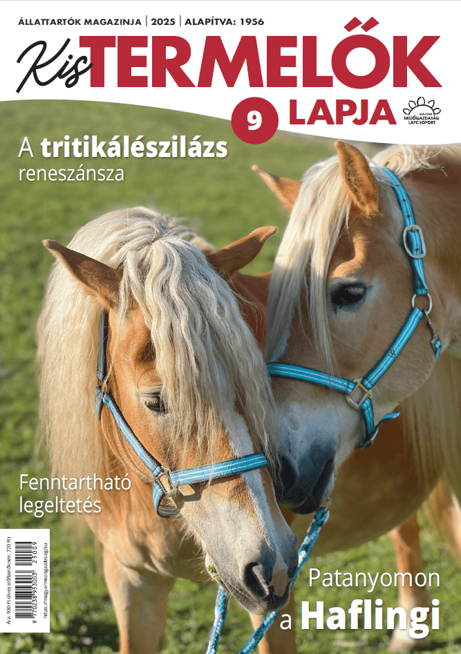 magazin kép