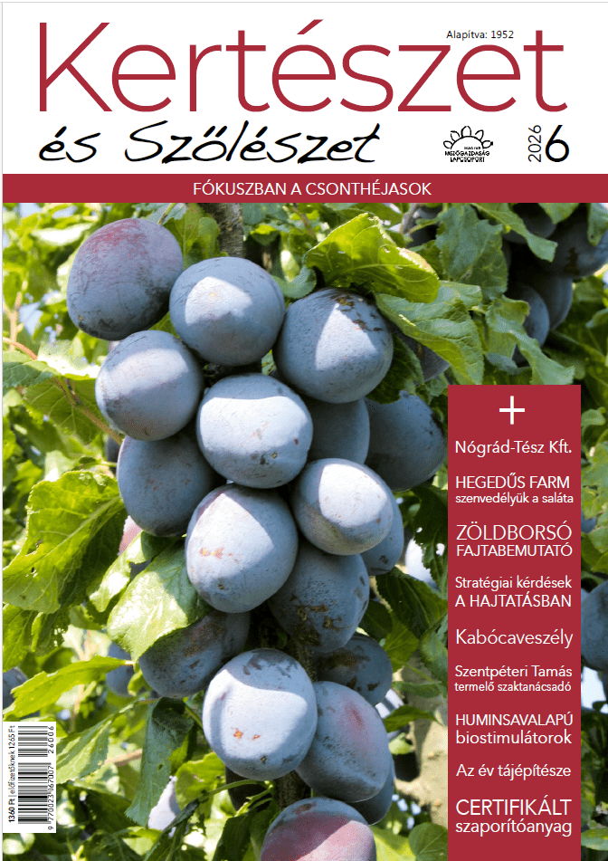 magazin kép