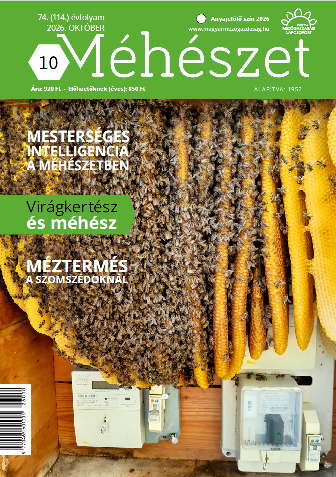 magazin kép