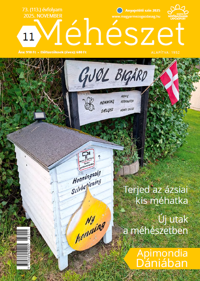 magazin kép