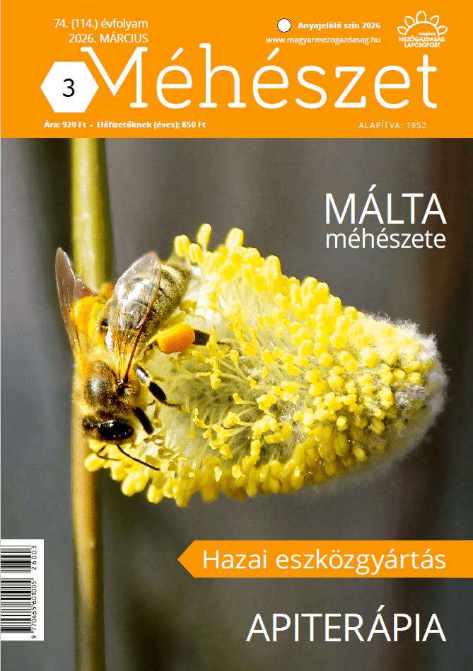 magazin kép