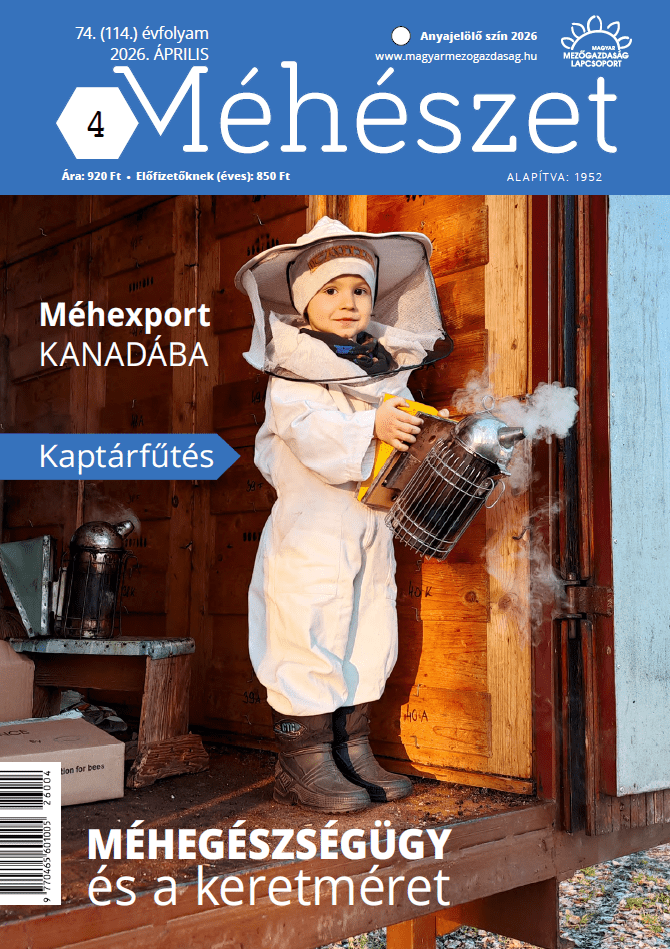 magazin kép