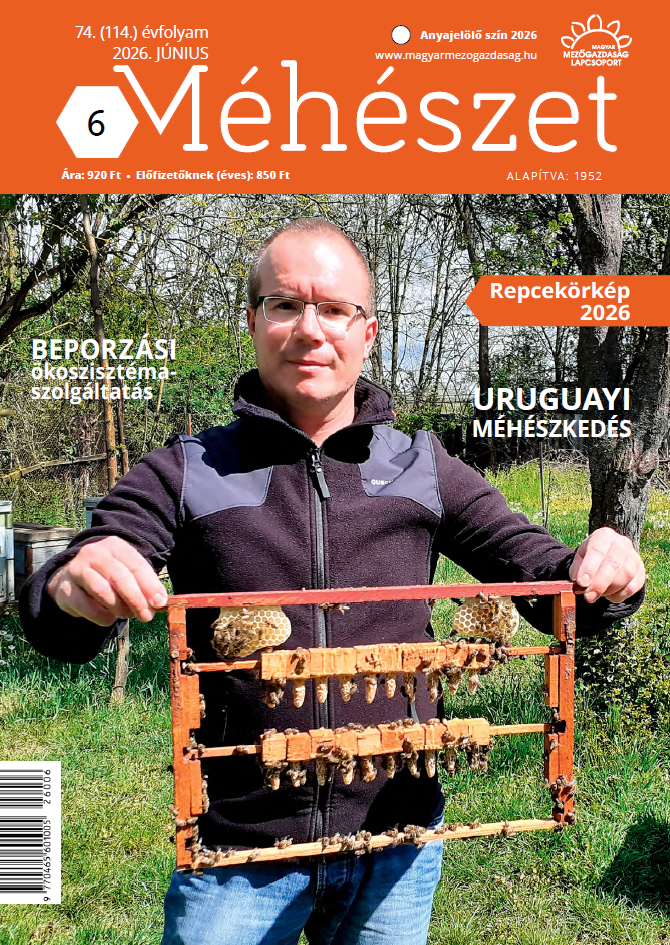 magazin kép