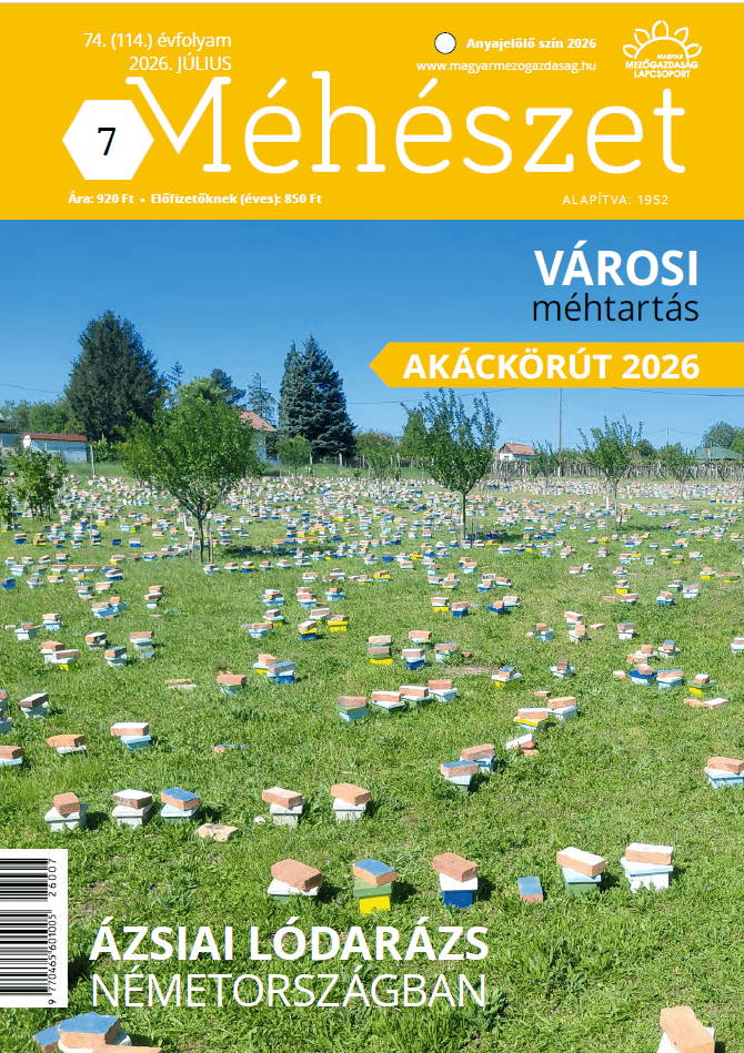 magazin kép