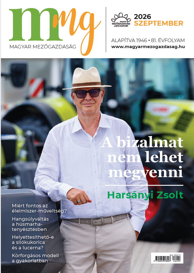 magazin kép