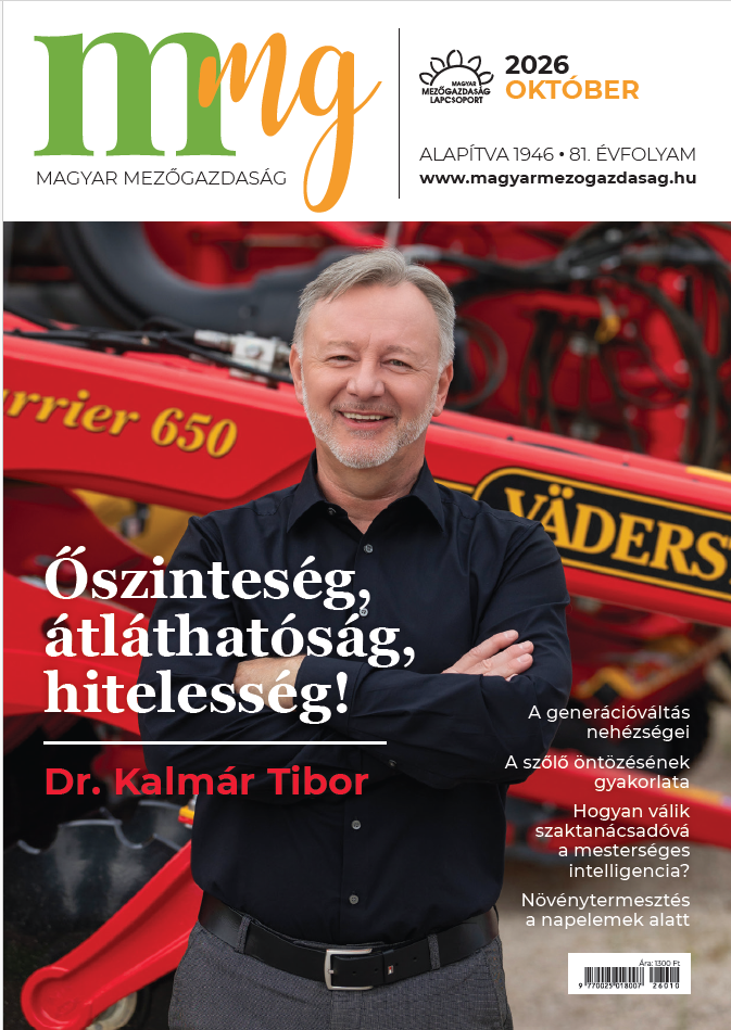 magazin kép