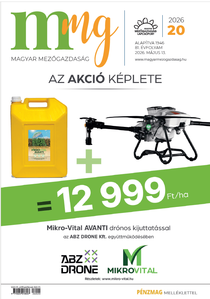 magazin kép