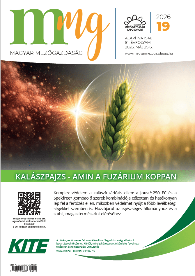 magazin kép