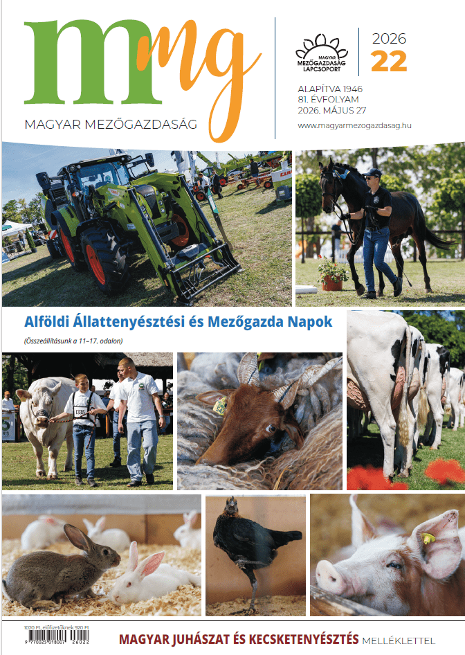 magazin kép