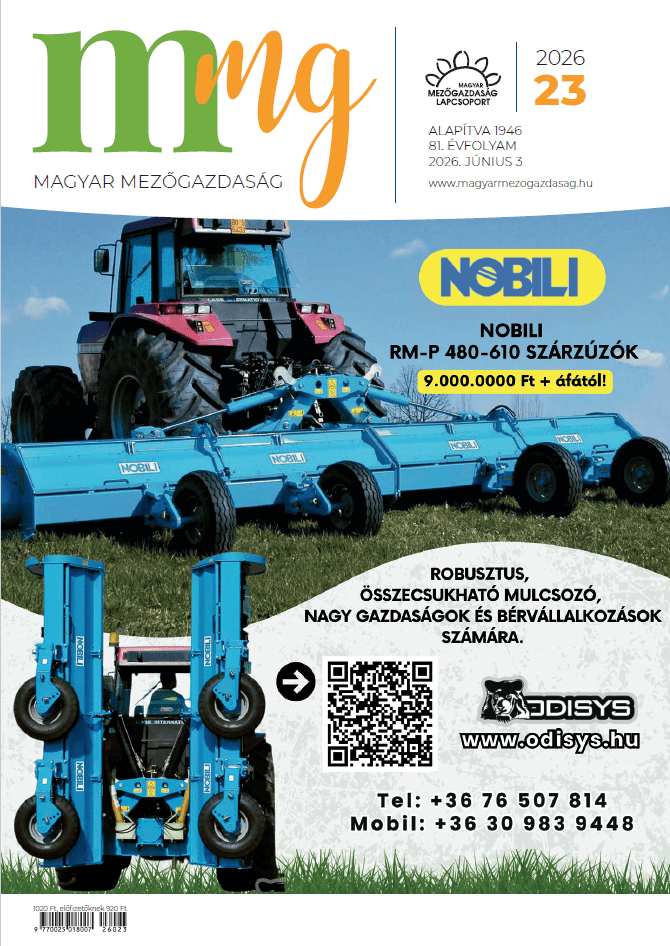 magazin kép