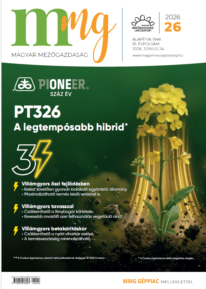 magazin kép
