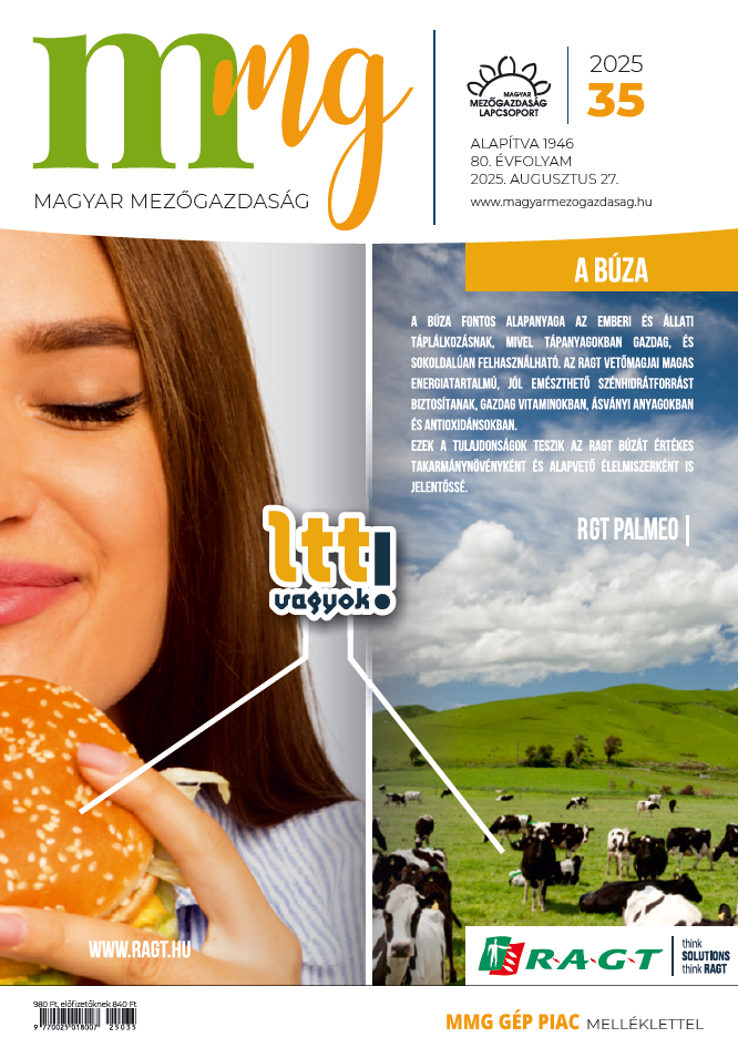 magazin kép