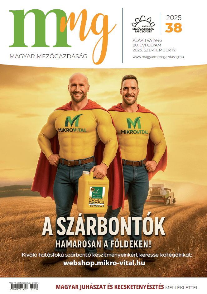 magazin kép