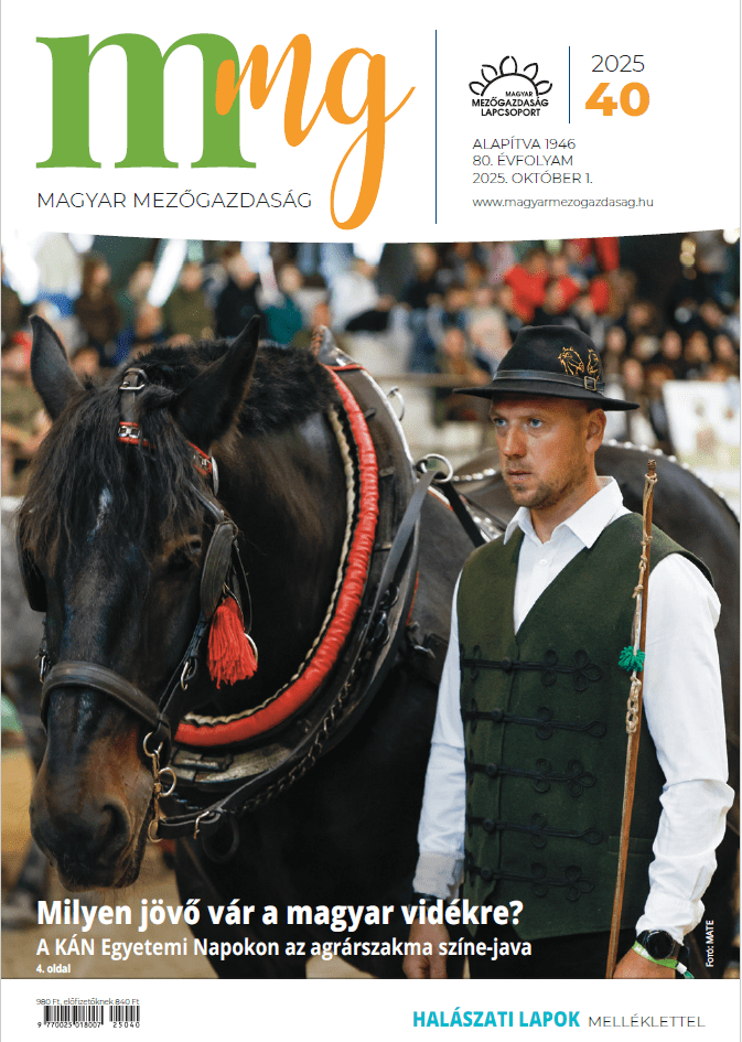 magazin kép