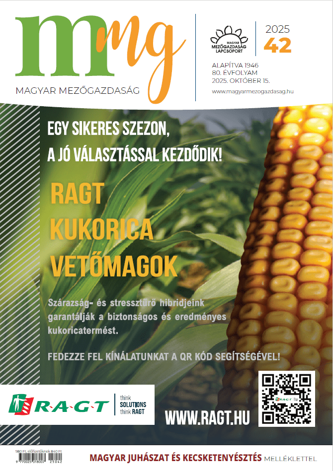 magazin kép