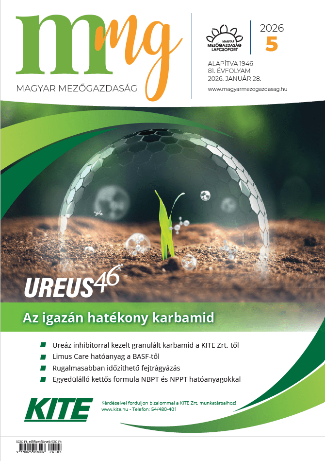 magazin kép